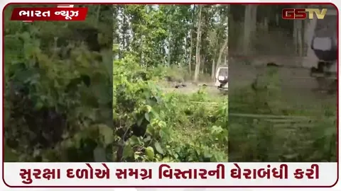 VIDEO: નાગાલેન્ડમાં આસામ રાઇફલ્સની ગાડી પર શંકાસ્પદ IED બ્લાસ્ટ: 1 જવાન શહીદ, 4 ઘાયલ