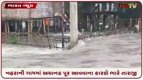 VIDEO: 'ગાયો, બકરાં અને ઘરવખરી પાણીમાં તણાઈ ગઈ', આસામના લખીમપુરમાં અચાનક પૂરની તારાજીના ભયાવહ દૃશ્યો