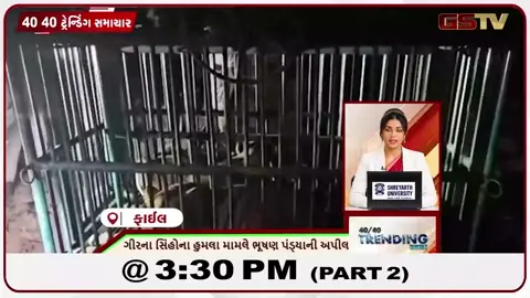 VIDEO: NEWS 40-40/ગીરના સિંહોના હુમલા મામલે ભૂષણ પંડ્યાની અપીલ,ઉમરગામમાં યુવકે દરિયામાં ઝંપલાવ્યું