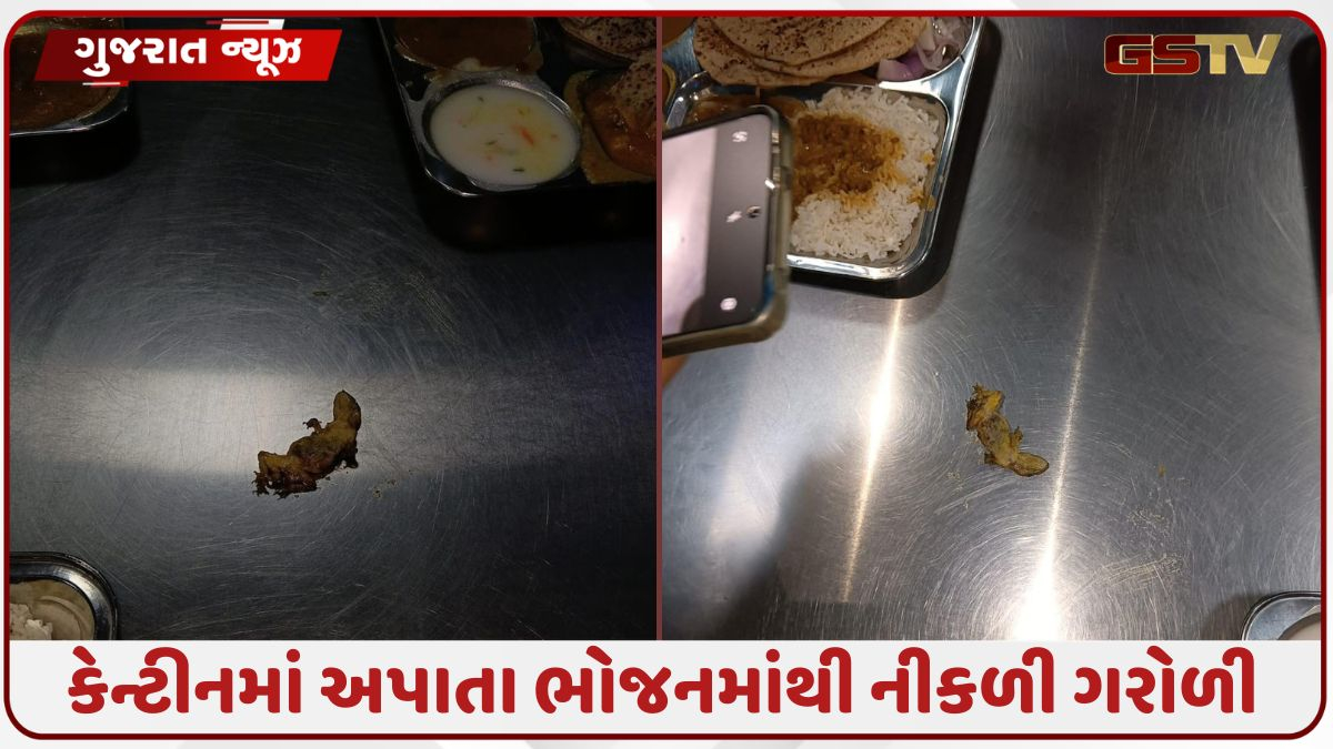 સુરેન્દ્રનગરની ભારત સીટ્સ કંપનીના કેન્ટીનમાંથી ગરોળી નીકળી, 10થી વધુ કર્મીઓને ફૂડ પોઇઝનિંગની અસર