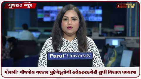 VIDEO: મોરબી: વીજપોલ વળતર મુદ્દે ખેડૂતોની કલેક્ટર કચેરી સુધી વિશાળ પદયાત્રા