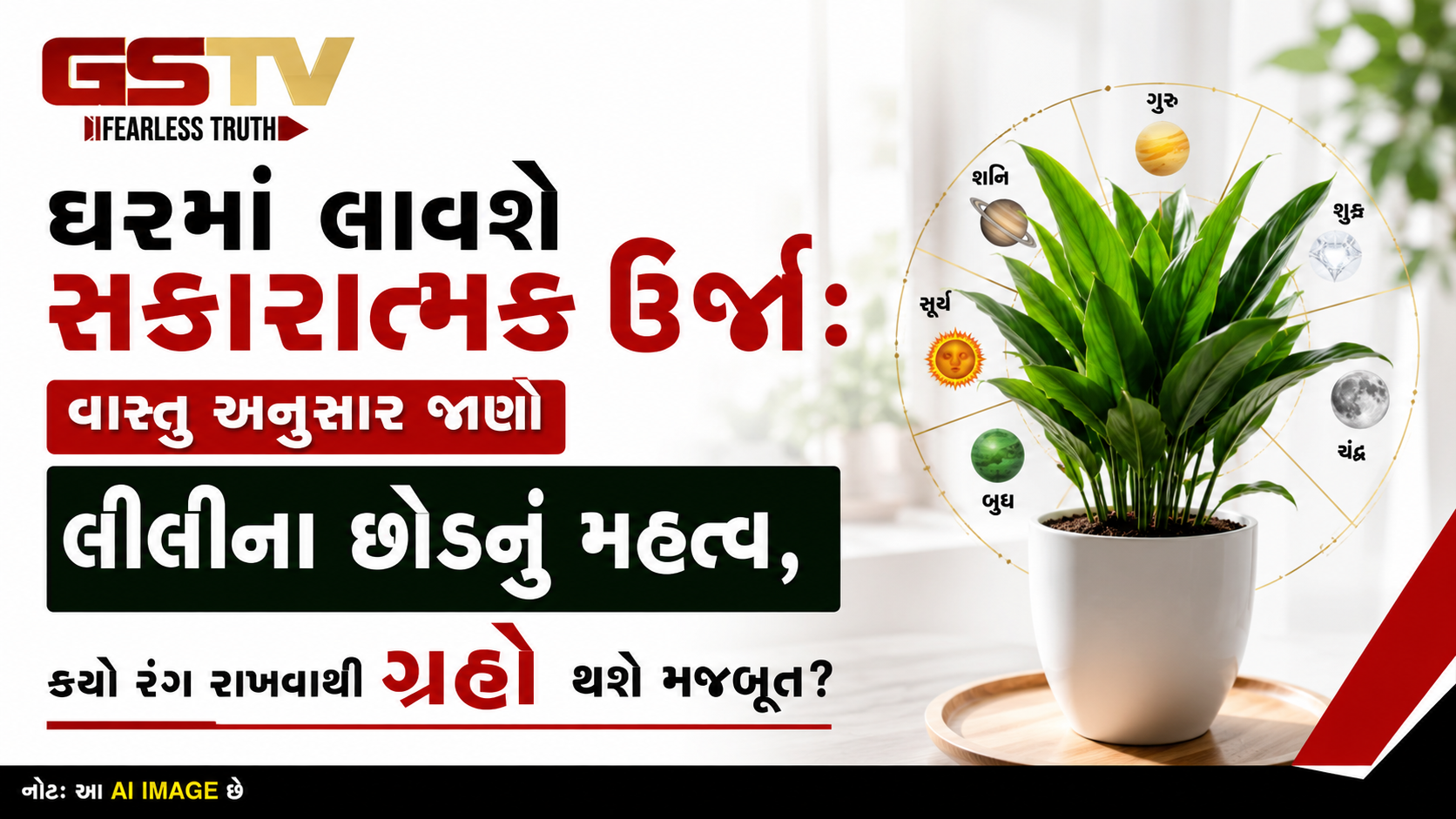 Religion : સુખ-શાંતિની ચાવી: ઘરમાં પરસ્પર પ્રેમ અને સમૃદ્ધિ વધારશે લીલી, જાણો કઈ જગ્યા રાખવા માટે છે સૌથી ઉત્તમ