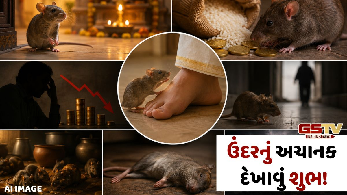 ઘરમાં ઉંદર ફરતો જોવાનો કે વારંવાર ઉંદરો જોવાનો શું અર્થ થાય છે? શુકનો પરથી જાણો શુભ અને અશુભ સંકેતો વિશે