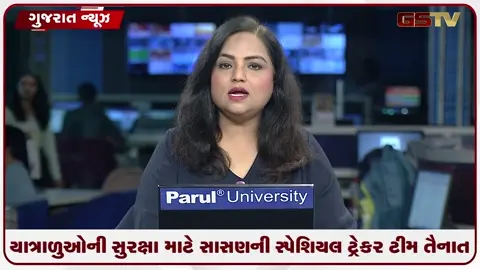 VIDEO: ગિરનારમાં યાત્રાળુઓની સુરક્ષા માટે સાસણની સ્પેશિયલ ટ્રેકર ટીમ તૈનાત, વન વિભાગ એક્શન મોડમાં