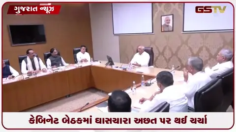 VIDEO: સીએમ ભૂપેન્દ્ર પટેલની કેબિનેટનો મોટો નિર્ણય: ઘાસચારાની તંગી રોકવા કલેક્ટરોને સોંપાઈ તમામ સત્તા