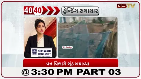 VIDEO: News 40-40/વન વિભાગે ભૂંડ બચાવ્યા