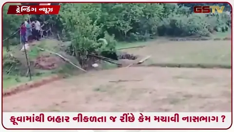 VIDEO: VIRAL / કૂવામાં પડેલા રીંછનો જીવ બચાવવા પહોંચ્યા લોકો, બહાર આવતા જ તે જ લોકોની પાછળ દોડ્યું
