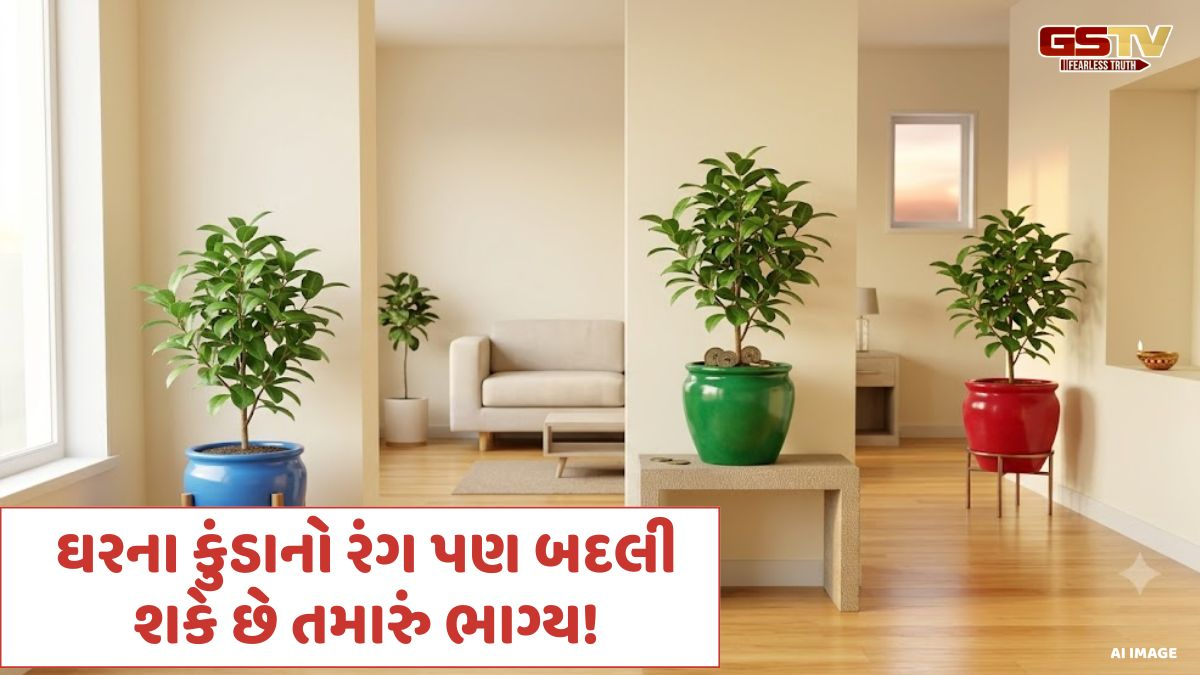 Vastu Tips: ઘરના કુંડાનો રંગ પણ બદલી શકે છે તમારું ભાગ્ય! જાણો કઈ દિશા માટે કયો રંગ છે શ્રેષ્ઠ