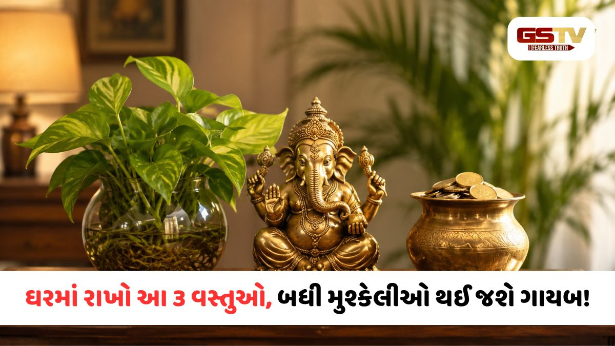 ઘરમાંથી નેગેટિવ એનર્જી દૂર કરવા માટે અચૂક રાખો આ ૩ વાસ્તુ વસ્તુઓ, જાણો તેના સાચા નિયમો
