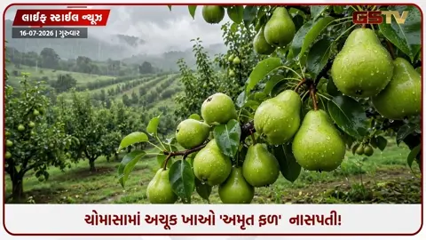 VIDEO: ચોમાસામાં દવાઓ પાછળ ખર્ચ કરવાનું બંધ કરો! નાસપતી ખાશો તો બીમારીઓ રહેશે કોસો દૂર