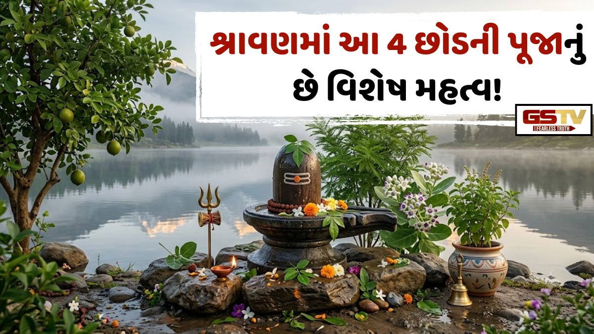 Religion/ જીવનમાં મુશ્કેલીઓ તમને સતાવી રહી છે? સુખ-સમૃદ્ધિ માટે શ્રાવણમાં આ 4 છોડની પૂજાનું છે વિશેષ મહત્વ!
