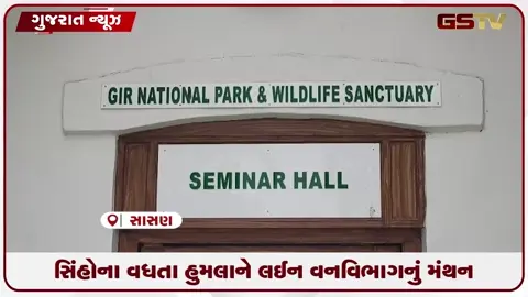 VIDEO: ગીર બોર્ડર પર સિંહોના જીવલેણ હુમલા વધતા વન વિભાગની સાસણમાં બેઠક