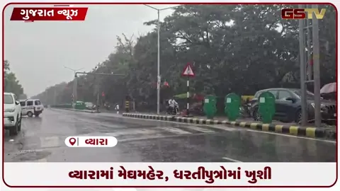 VIDEO: તાપીના વ્યારામાં ધીમીધારે વરસાદ શરૂ થતાં ધરતીપુત્રોમાં ભારે ખુશી