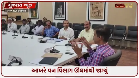 VIDEO: સિંહોના હુમલા રોકવા થર્મલ ડ્રોન અને AI આધારિત મોનિટરિંગ કરાશે, વન વિભાગના અધિકારીઓની બેઠકમાં લેવાયો નિર્ણય