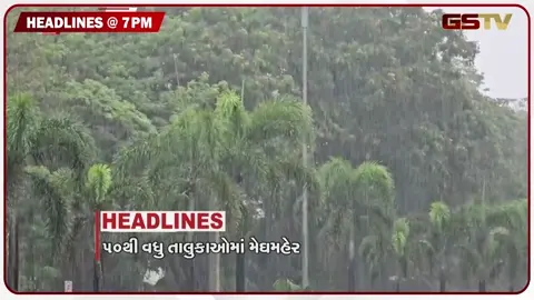 VIDEO: HEADLINE 07.00 PM / 50થી વધુ તાલુકાઓમાં મેઘરાજા પધાર્યા, સિંહોના હુમલાને લઈને વનવિભાગની બેઠક