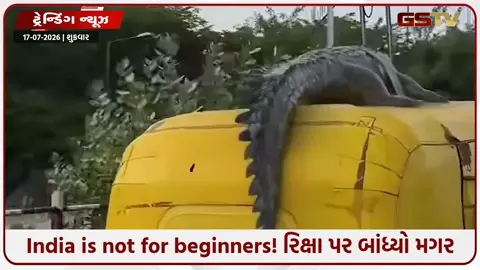 VIDEO: India is not for beginners! રિક્ષા પર બાંધ્યો મગર, જુઓ પછી શું થયું...