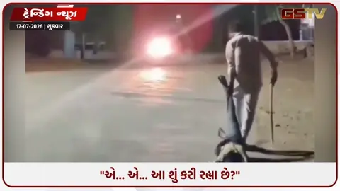 VIDEO: VIRAL/ 