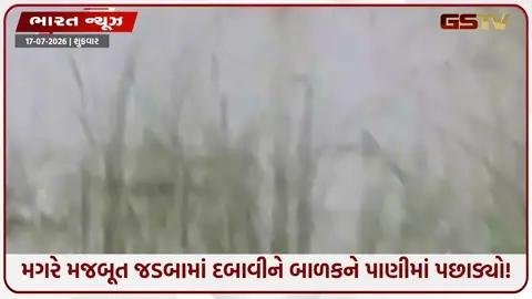 VIDEO: નદી કિનારે કાકા જોતા રહ્યા ને મગર ભત્રીજાને જીવતો ગળી ગયો! બહરાઇચની કાળજું કંપાવતી ઘટના