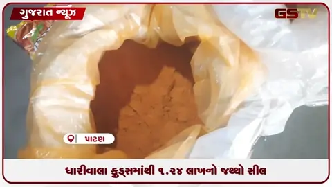 VIDEO: ભેળસેળિયાઓ સામે પાટણ તંત્રની લાલ આંખ! સિદ્ધપુર GIDCની ફેક્ટરીમાંથી ૧૧૦૦ કિલોથી વધુ પાસ્તા-મસાલાનો જથ્થો જપ્ત!