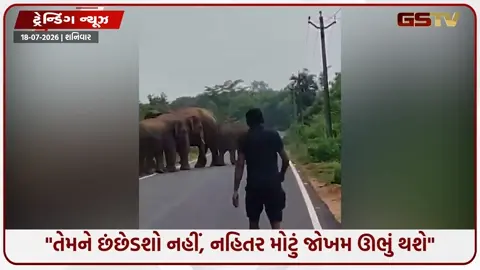 VIDEO: VIRAL/ 