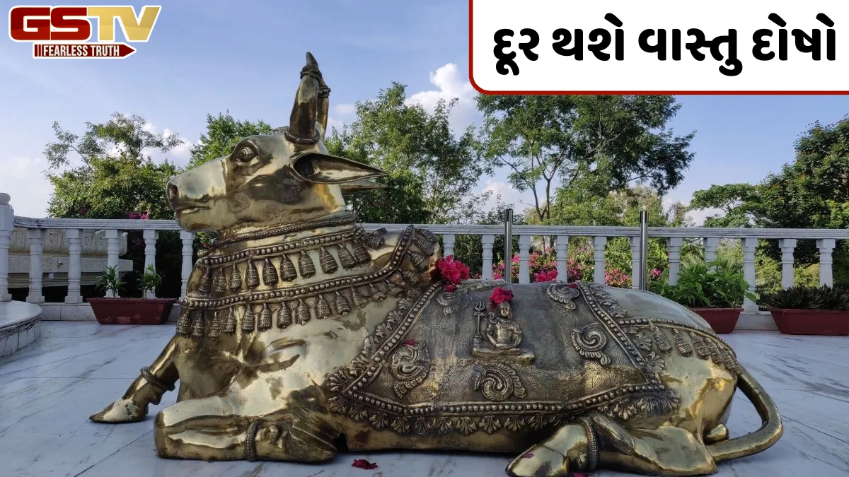 શ્રાવણના આગમન પહેલા આ 11 વસ્તુઓ ઘરે લાવો, તમારા પર રહેશે ભગવાન શિવનો આશીર્વાદ