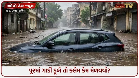 VIDEO: પૂરમાં ડૂબી ગઈ કાર કે બાઇક? ઇન્સ્યોરન્સના પૂરેપૂરા પૈસા જોઈતા હોય તો તરત જ કરો આ કામ