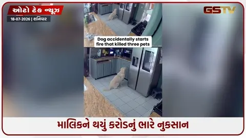 VIDEO: પ્લગમાં જ ટોસ્ટર કે ઓવન ભરાવી રાખો છો તો સાવધાન, સીસીટીવીમાં કેદ થઈ કાળજું કંપાવતી ઘટના!