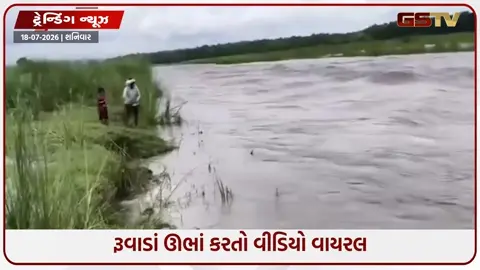 VIDEO: બાપ તો બાપ જ છે! પુત્રના ભવિષ્ય માટે જીવ જોખમમાં મૂક્યો, ખભે બેસાડીને પાર કરાવી કાળમુખી નદી! 