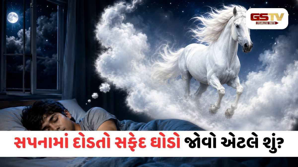 સ્વપ્નમાં સફેદ ઘોડો જોવાનો અર્થ શું થાય છે? જાણો તેની પાછળના શુભ-અશુભ રહસ્યો