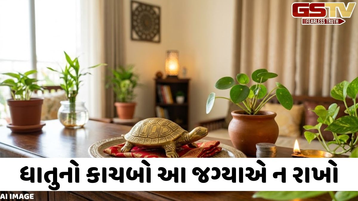 ફેંગ શુઇ ટિપ્સ: ઘરમાં ધાતુનો કાચબો ક્યાં રાખવો? યોગ્ય રીતે રાખવાથી થશે 3 ફાયદા