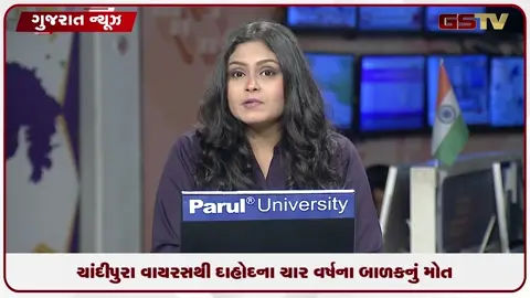 VIDEO: ચાંદીપુરા વાયરસથી દાહોદના ચાર વર્ષના બાળકનું મોત