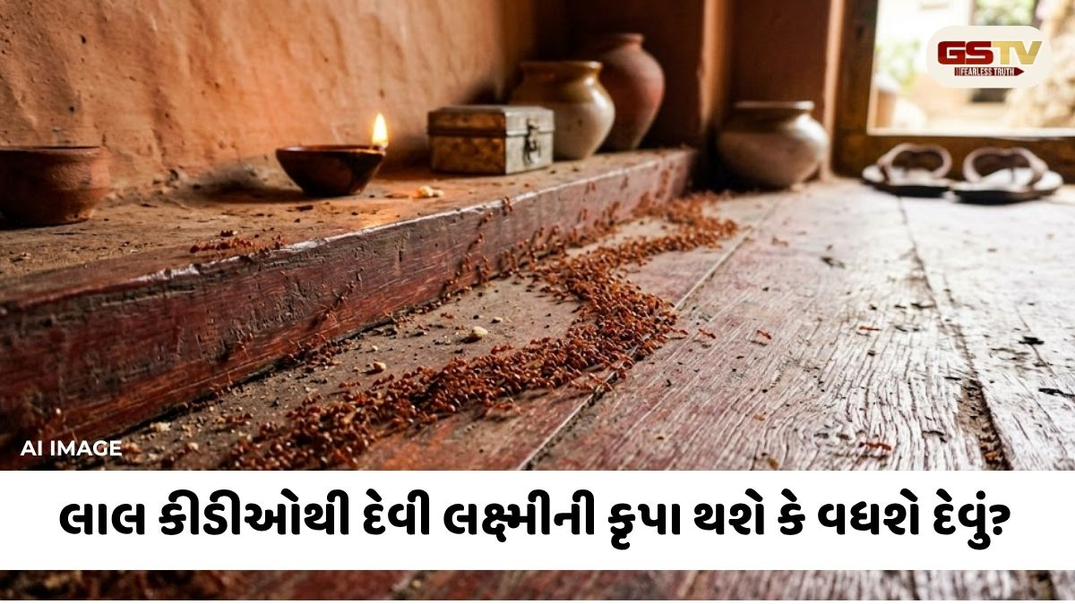 ઘરમાં વધી ગઈ છે લાલ કીડીઓ? જાણો ભવિષ્યના આ ગુપ્ત સંકેતો