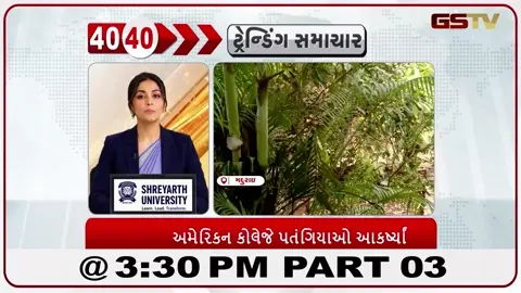 VIDEO: તમિલનાડુના મદુરાઈમાં આવેલી ઐતિહાસિક અમેરિકન કોલેજના હરિયાળા કેમ્પસમાં પતંગિયાઓની હાજરીમાં નોંધપાત્ર વધારો જોવા મળ્યો છે