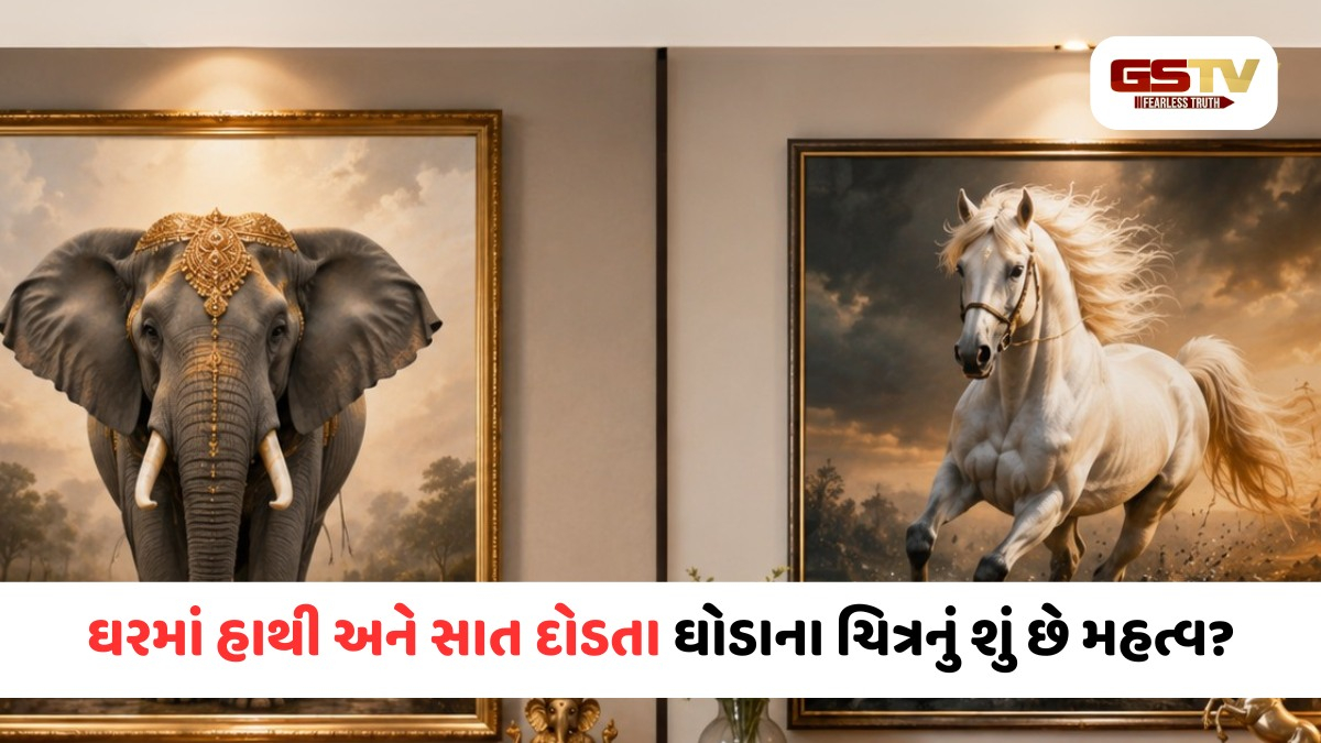 ઘરમાં હાથી કે દોડતા ઘોડાની તસલીર? કયો ફોટો લગાવવાથી આવશે ઘરમાં અપાર સંપત્તિ?