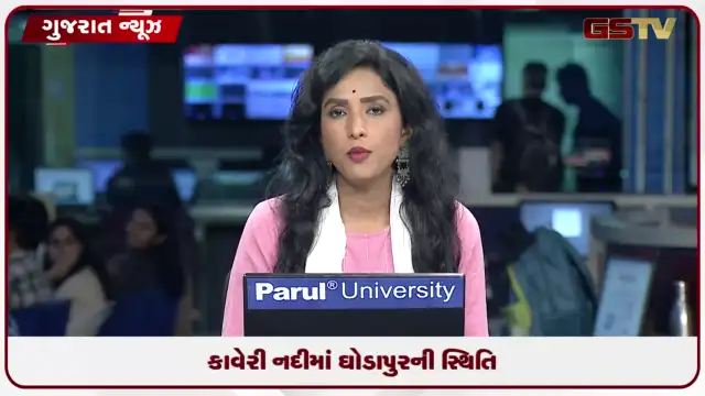 VIDEO: નવસારીની કાવેરી નદીમાં ઘોડાપૂર, સપાટી ભયજનક સ્તરથી માત્ર બે ફૂટ દૂર