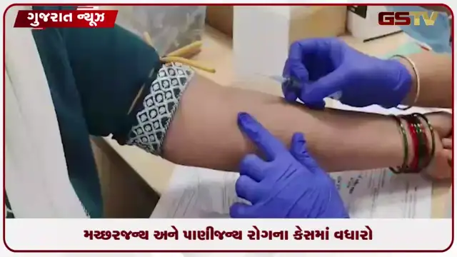 VIDEO: અમદાવાદમાં ચોમાસાની શરૂઆત સાથે જ રોગચાળાની દહેશત