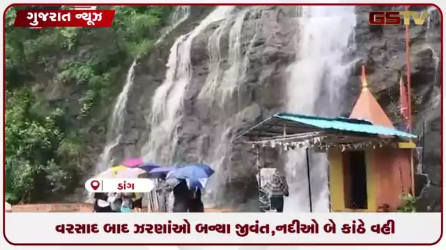 VIDEO: ડાંગ જિલ્લામાં વહેલી સવારથી સતત વરસાદ, અંબિકા અને પૂર્ણા નદી બે કાંઠે