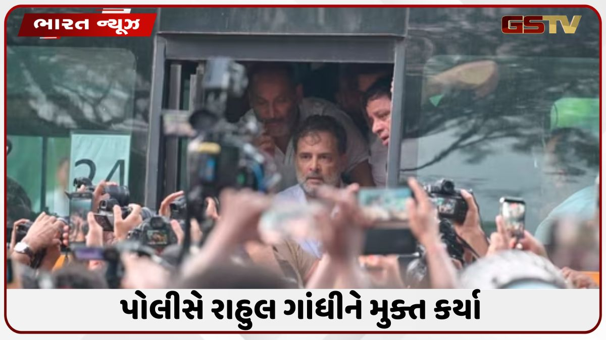 અટકાયત બાદ રાહુલ ગાંધી સહિતના વિપક્ષ નેતાઓને પોલીસે કર્યા મુક્ત, પ્રિયંકાને મળવા સોનિયા ગાંધી પોલીસ સ્ટેશન પહોંચ્યા
