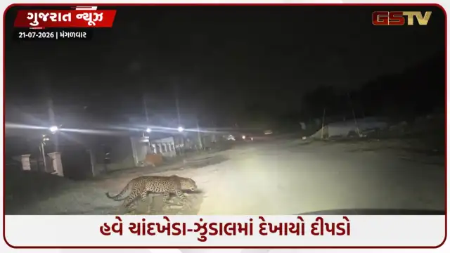 VIDEO: Ahmedabad / ઘુમા-શેલા બાદ હવે ચાંદખેડા-ઝુંડાલમાં દેખાયો દીપડો