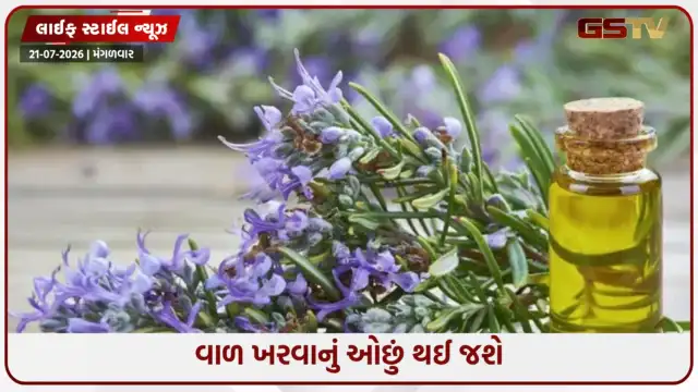 VIDEO: નબળા વાળને પુનર્જીવિત કરી શકે છે રોઝમેરી તેલ, જાણો તેનો ઉપયોગ કરવાની સાચી રીત