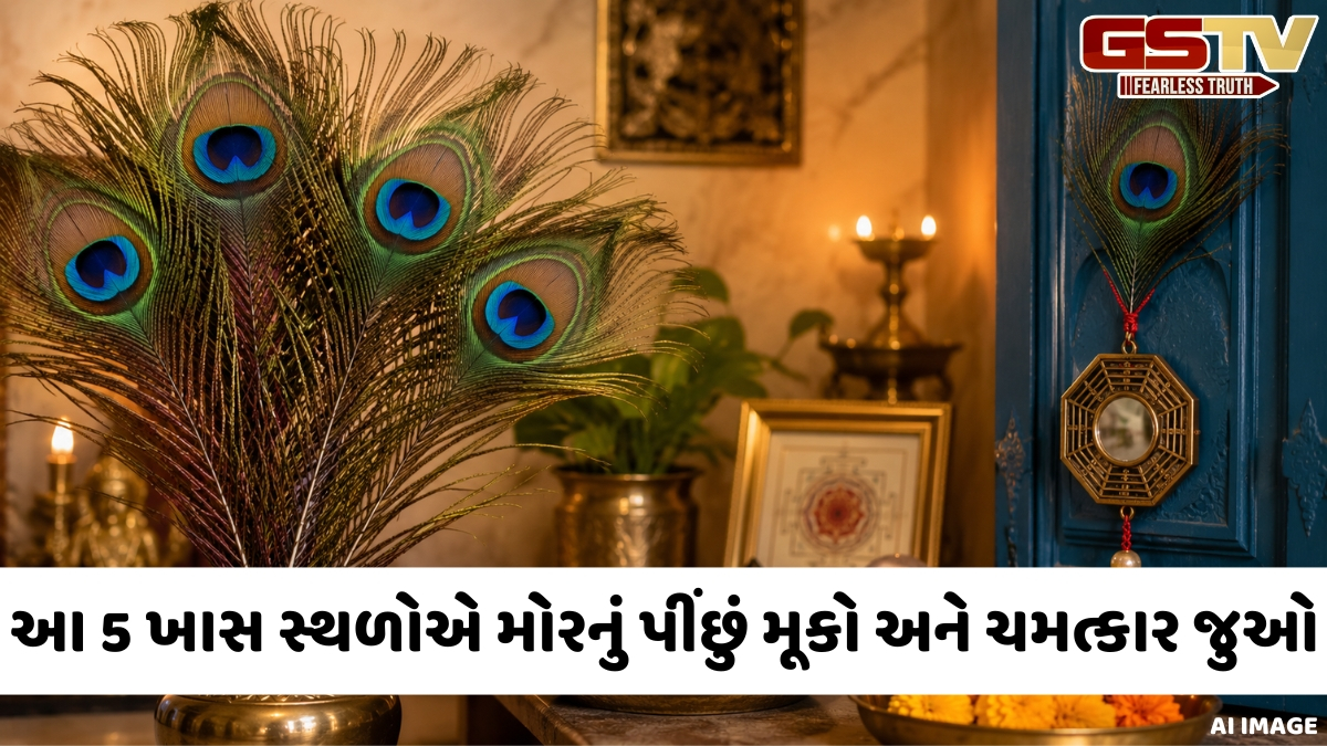 મોરના પીંછાના આ અજાણ્યા વાસ્તુ રહસ્યો તમારા નસીબ અને તમારા ઘરની ઉર્જા બદલી નાખશે