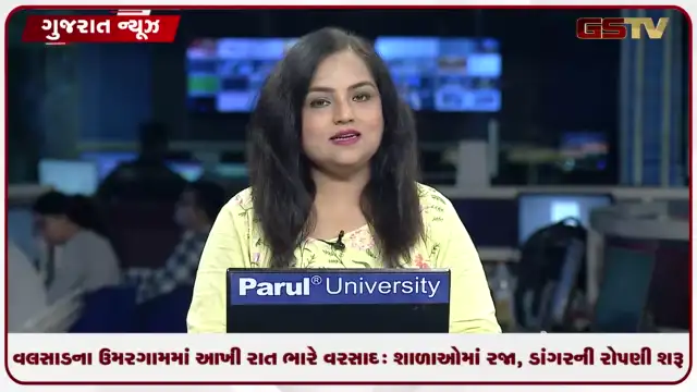 VIDEO: વલસાડના ઉમરગામમાં આખી રાત ભારે વરસાદ: શાળાઓમાં રજા, ડાંગરની રોપણી શરૂ