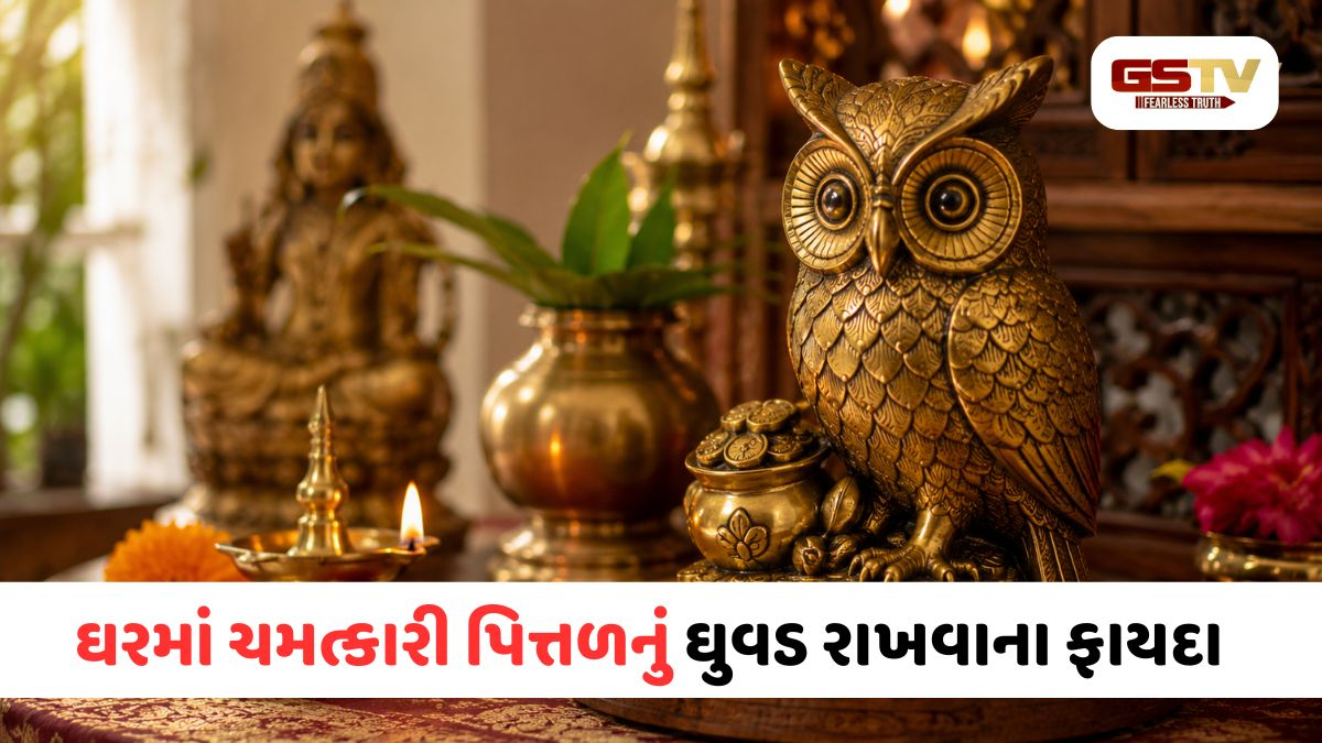 ઘરમાં પિત્તળનું ઘુવડ રાખવાથી નકારાત્મક ઊર્જા થશે દૂર! જાણો તેને રાખવાની સાચી દિશા અને નિયમો