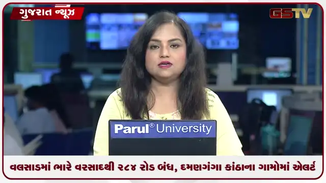 VIDEO: વલસાડમાં ભારે વરસાદથી ૨૮૪ રોડ બંધ, દમણગંગા કાંઠાના ગામો એલર્ટ પર