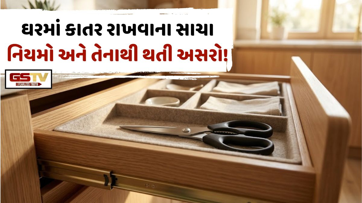 Vastu Tips/ ઘરમાં રખાયેલી કાતર પણ બદલી શકે છે તમારી કિસ્મત? જાણો વાસ્તુ શાસ્ત્રના આ અજાણ્યા નિયમો