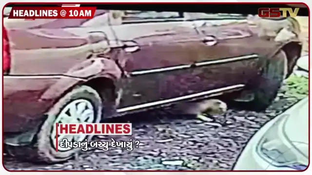 VIDEO: HEADLINE 10:00 AM/ શેલામાં દીપડાનું બચ્ચું દેખાયાની ચર્ચા, દ. ગુજરાતમાં મેઘ તાંડવ, દેશના 18 રાજ્યોમાં વરસાદનું એલર્ટ
