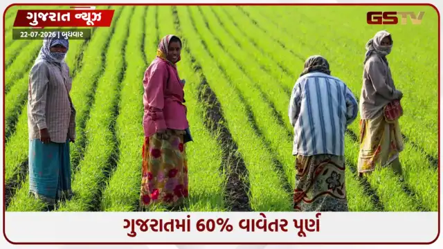 VIDEO: ગુજરાતમાં ખરીફ વાવણીની ધીમી શરૂઆત; સીઝનનું 60 ટકા વાવેતર પૂર્ણ, ગત વર્ષ કરતાં 9 ટકા ઓછું