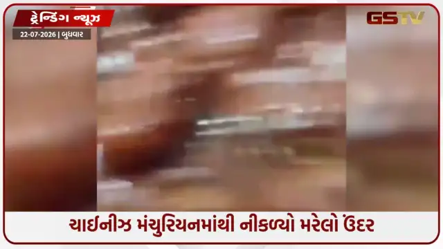 VIDEO: VIRAL / લ્યો બોલો! ચાઈનીઝ મંચુરિયનમાંથી નીકળ્યો મરેલો ઉંદર, વીડિયો થયો વાયરલ