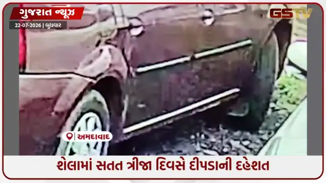 VIDEO: Ahmedabad / શેલામાં ગ્રીનફિલ્ડ સોસાયટી પાસે કાર નીચેથી દીપડાનું બચ્ચું દેખાયું, CCTV થયા વાયરલ