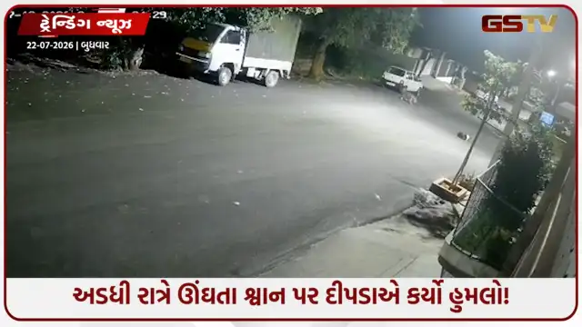 VIDEO: VIRAL/ અડધી રાત્રે ઊંઘતા શ્વાન પર દીપડાએ કર્યો હુમલો, પછી જે થયું તે જોઈને તમે પણ ચોંકી જશો!